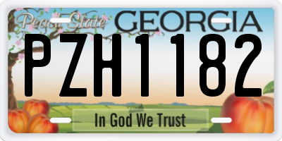 GA license plate PZH1182
