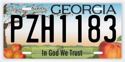 GA license plate PZH1183