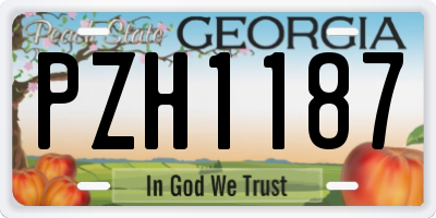 GA license plate PZH1187