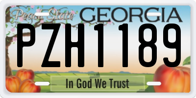 GA license plate PZH1189