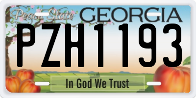 GA license plate PZH1193