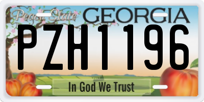 GA license plate PZH1196