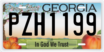 GA license plate PZH1199