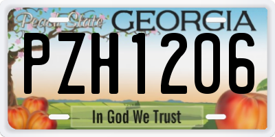 GA license plate PZH1206