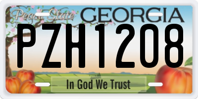 GA license plate PZH1208