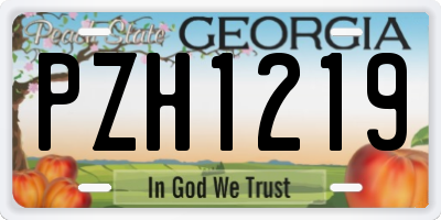 GA license plate PZH1219