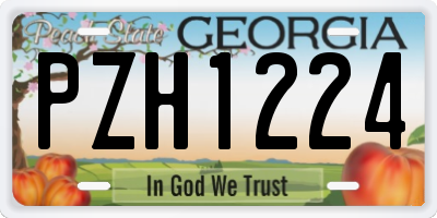 GA license plate PZH1224
