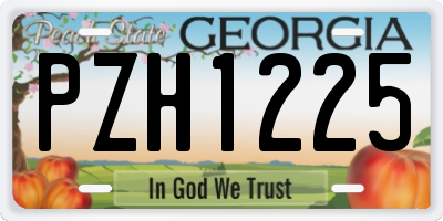 GA license plate PZH1225