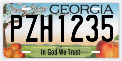 GA license plate PZH1235
