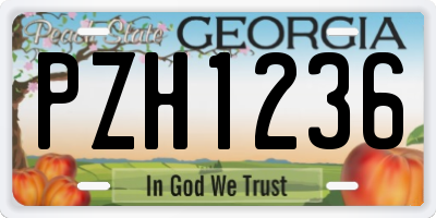 GA license plate PZH1236