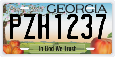 GA license plate PZH1237