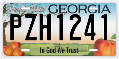 GA license plate PZH1241