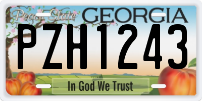 GA license plate PZH1243