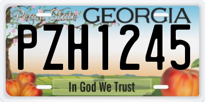 GA license plate PZH1245