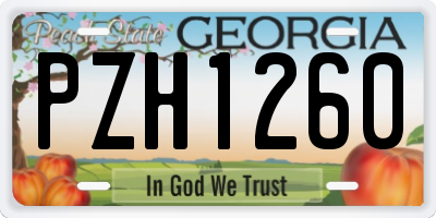 GA license plate PZH1260