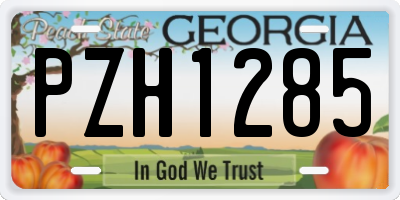 GA license plate PZH1285