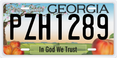 GA license plate PZH1289