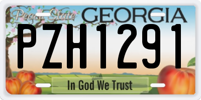 GA license plate PZH1291