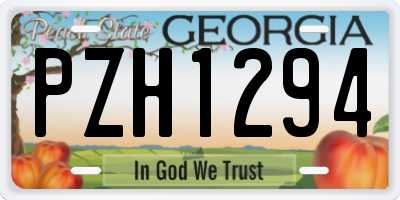 GA license plate PZH1294