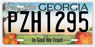 GA license plate PZH1295