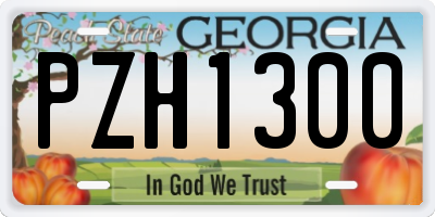 GA license plate PZH1300