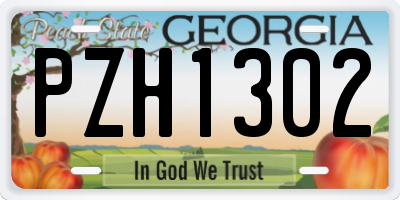 GA license plate PZH1302