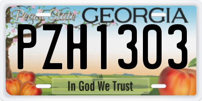 GA license plate PZH1303