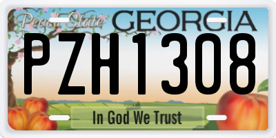 GA license plate PZH1308