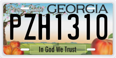 GA license plate PZH1310