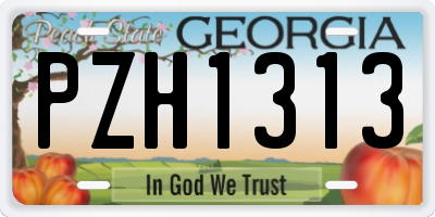 GA license plate PZH1313
