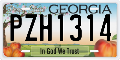 GA license plate PZH1314