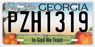 GA license plate PZH1319
