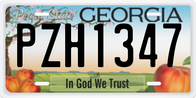 GA license plate PZH1347