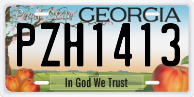 GA license plate PZH1413