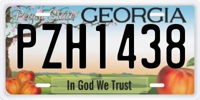 GA license plate PZH1438