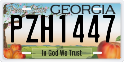 GA license plate PZH1447