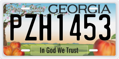 GA license plate PZH1453