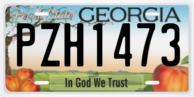 GA license plate PZH1473