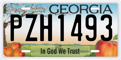 GA license plate PZH1493