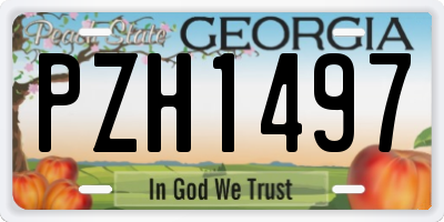GA license plate PZH1497