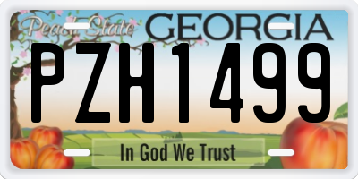 GA license plate PZH1499