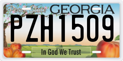 GA license plate PZH1509
