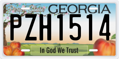GA license plate PZH1514
