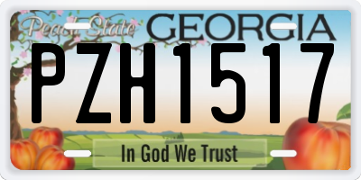 GA license plate PZH1517