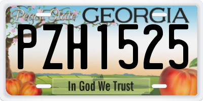 GA license plate PZH1525