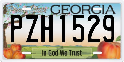 GA license plate PZH1529