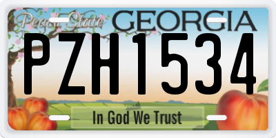 GA license plate PZH1534