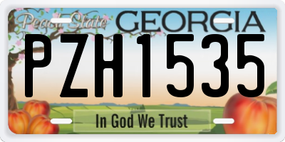 GA license plate PZH1535