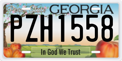 GA license plate PZH1558