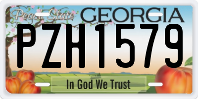 GA license plate PZH1579